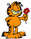 ein Garfield als Bild