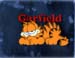 liegend___Garfield