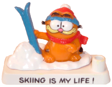 Skiing is my Life